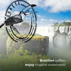 Soolong Enjoy Brazilie Nr4000 Koffiebonen Topacio Lungo - Speciality Koffie Arabica Medium Roast, Light Body Met Een Verfijnde Zacht Zoete Smaak. - Zak 250gram 17 Soolong Enjoy Brazilie Nr4000 Koffiebonen Topacio Lungo - Speciality Koffie Arabica Medium Roast, Light Body Met Een Verfijnde Zacht Zoete Smaak. - Zak 250gram -Beroemde Koffie Winkel 1200x1200 192