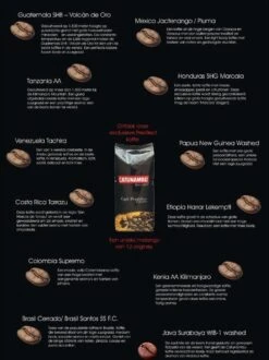 Catunambú Predilect Koffiebonen 1 Kilo - Premium Kwaliteit - Horecakoffie Voor Thuis - Ultiem Koffiegenot 9 Catunambú Predilect Koffiebonen 1 Kilo - Premium Kwaliteit - Horecakoffie Voor Thuis - Ultiem Koffiegenot -Beroemde Koffie Winkel 897x1200 1